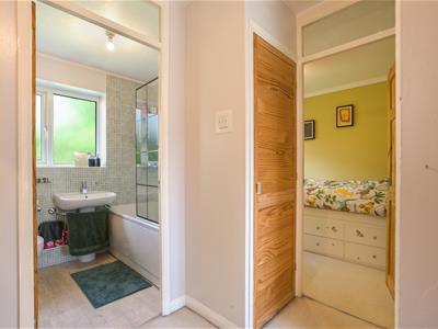Picture 11